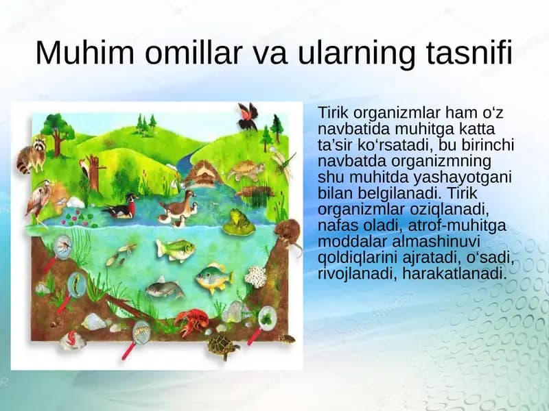 Muhit omillari va ularning tasnifi