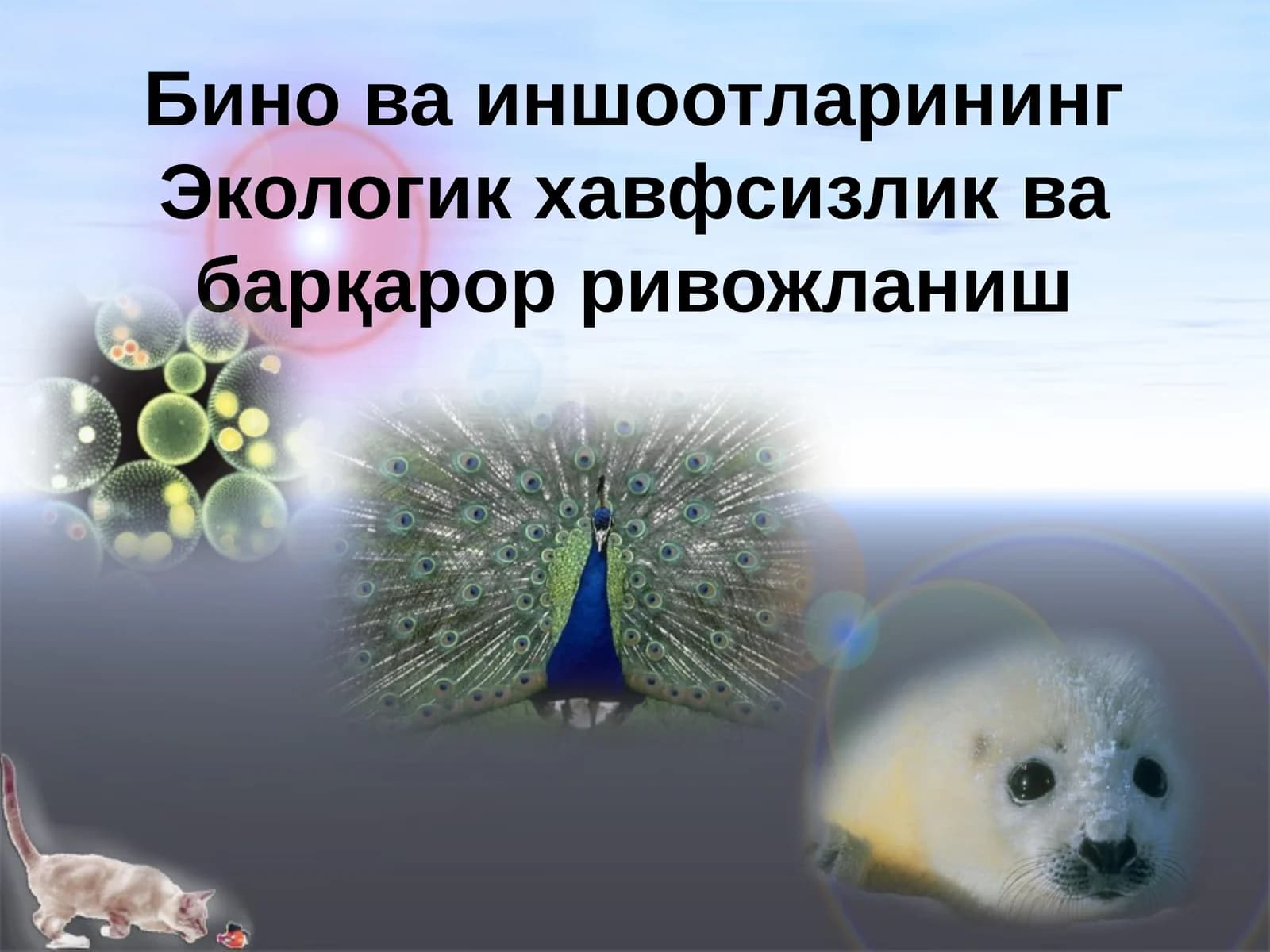 Бино ва иншоотларининг Экологик хавфсизлик ва барқарор ривожланиш