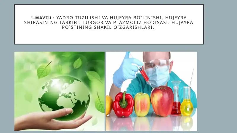 Yadro tuzilishi va Hujeyra bo`linishi