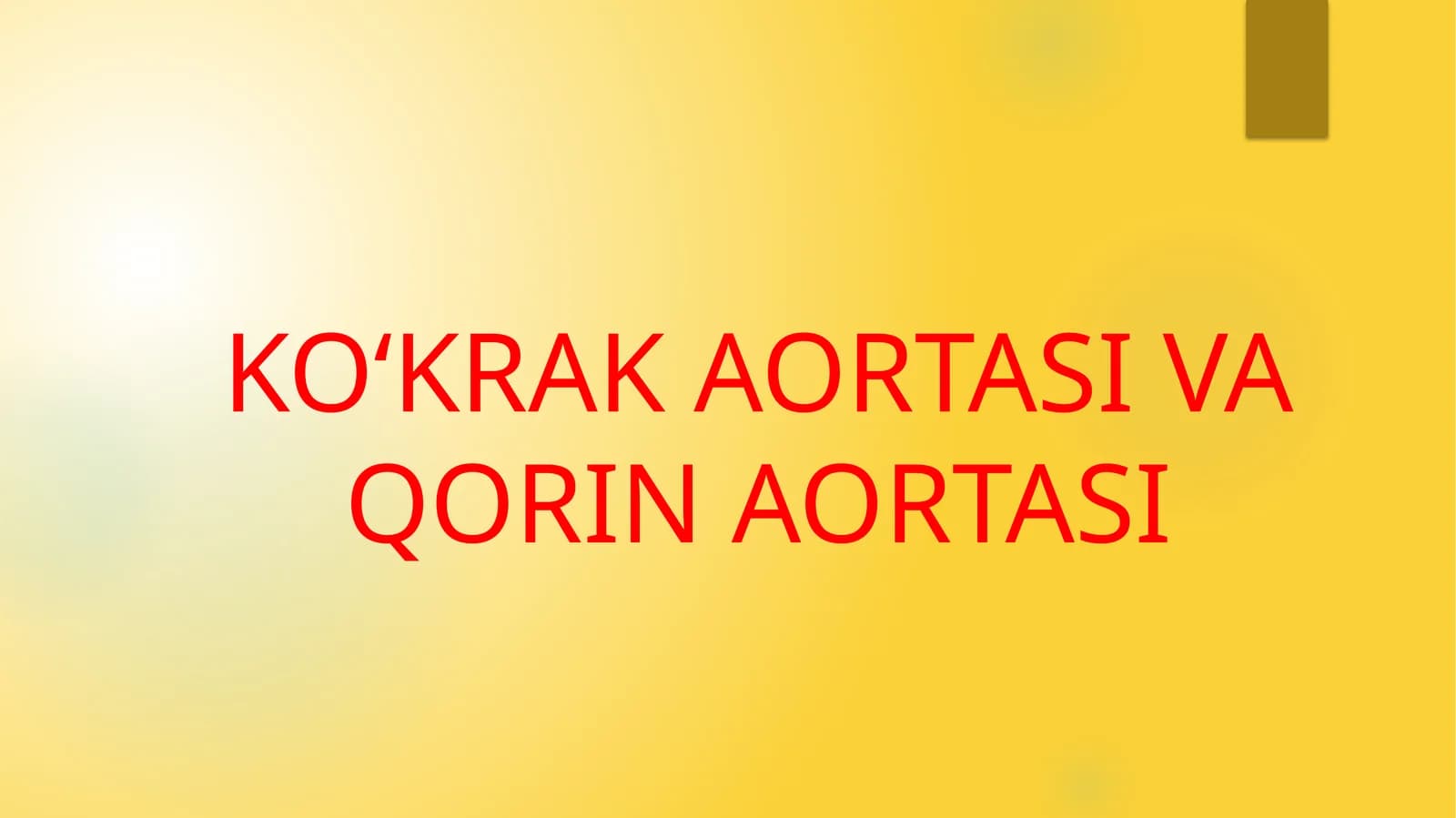 KOʻKRAK AORTASI VA QORIN AORTASI