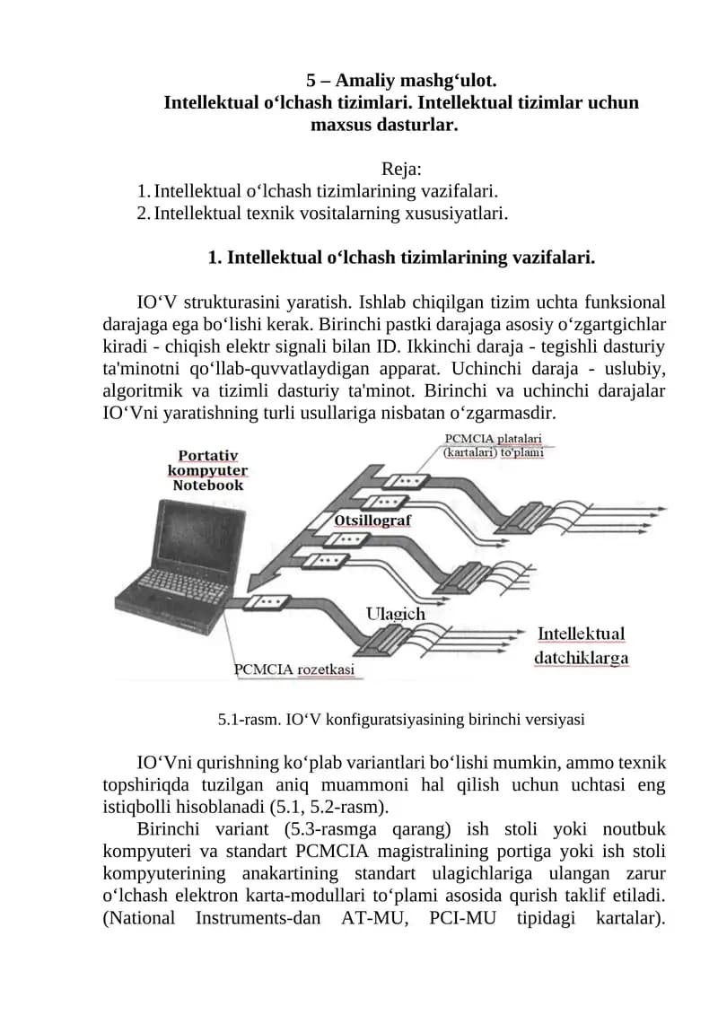 Intellektual o‘lchash tizimlari