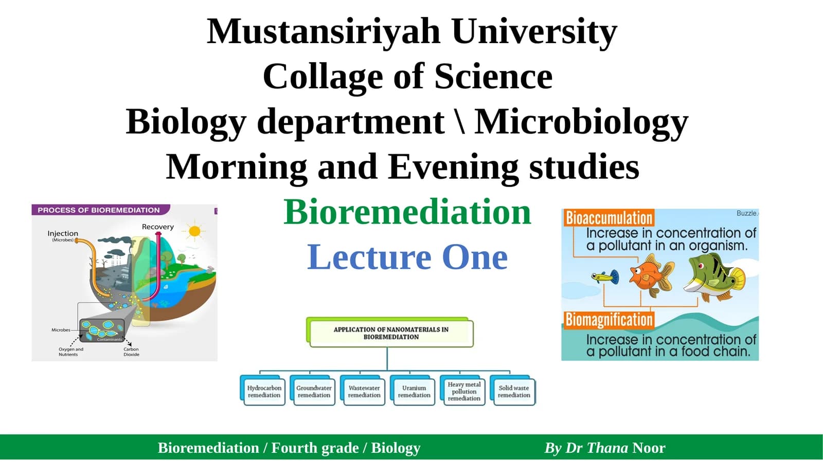 Bioremediation