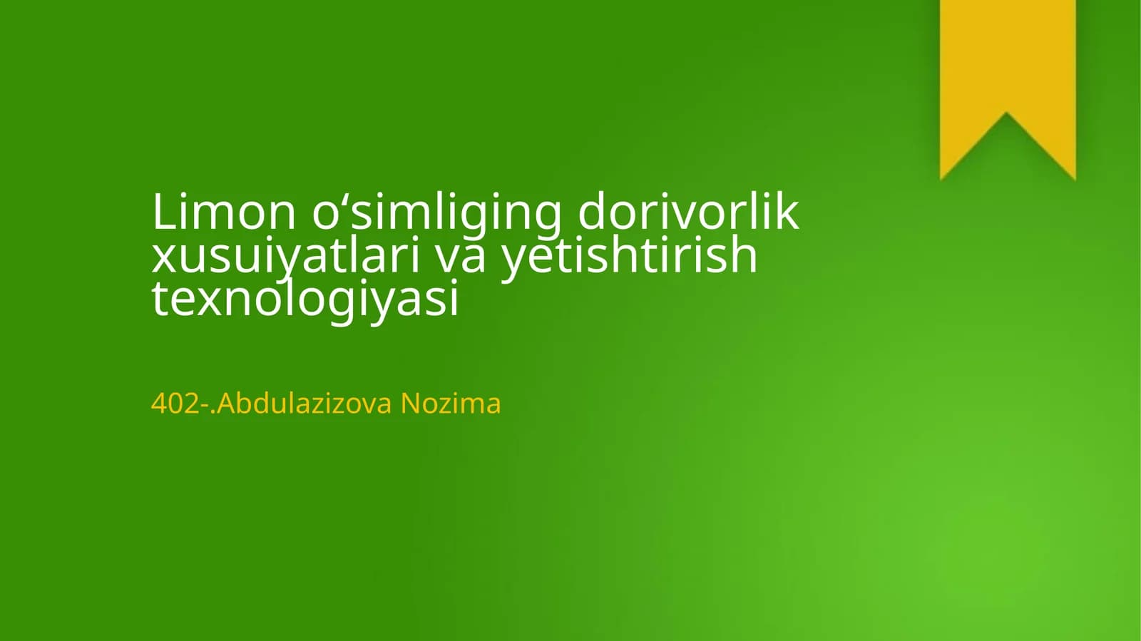 Limon oʻsimliging dorivorlik xusuiyatlari va yetishtirish texnologiyasi
