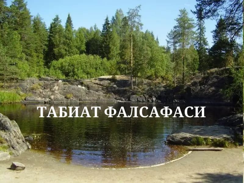 ТАБИАТ ФАЛСАФАСИ