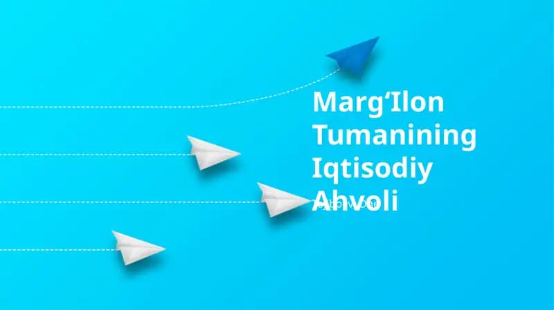 MargʻIlon Tumanining Iqtisodiy Ahvoli