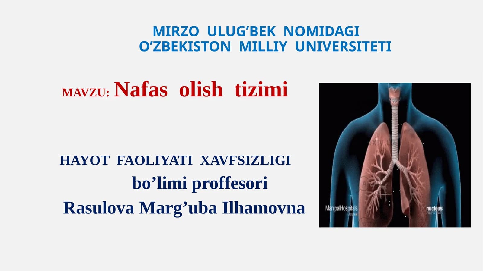 Nafas olish tizimi