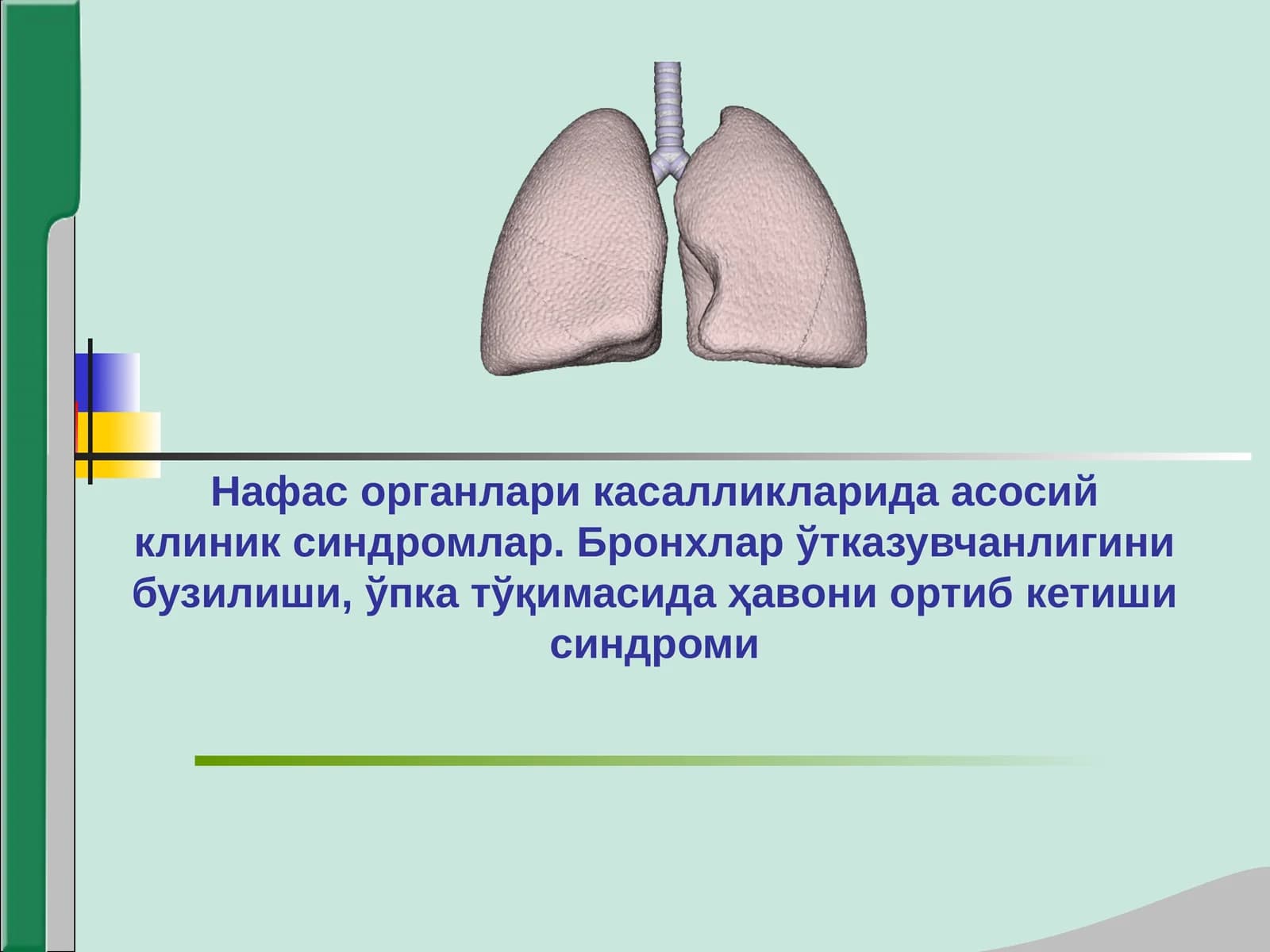 Нафас системаси касалликларидаги асосий клиник синдромлар