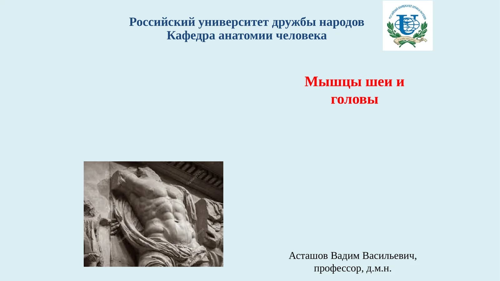 Мышцы шеи и головы