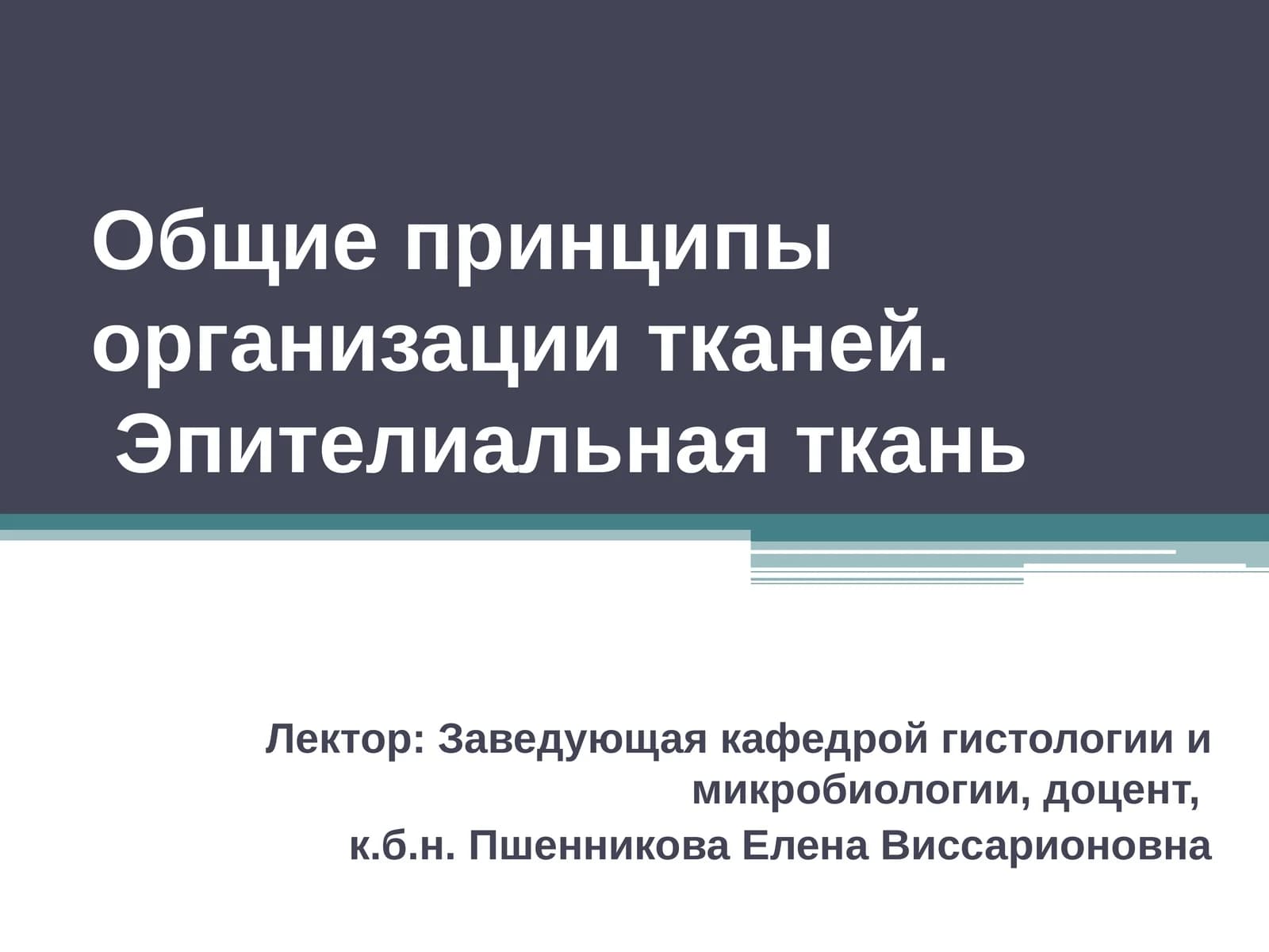 Общие принципы организации тканей.Эпителиальная ткань
