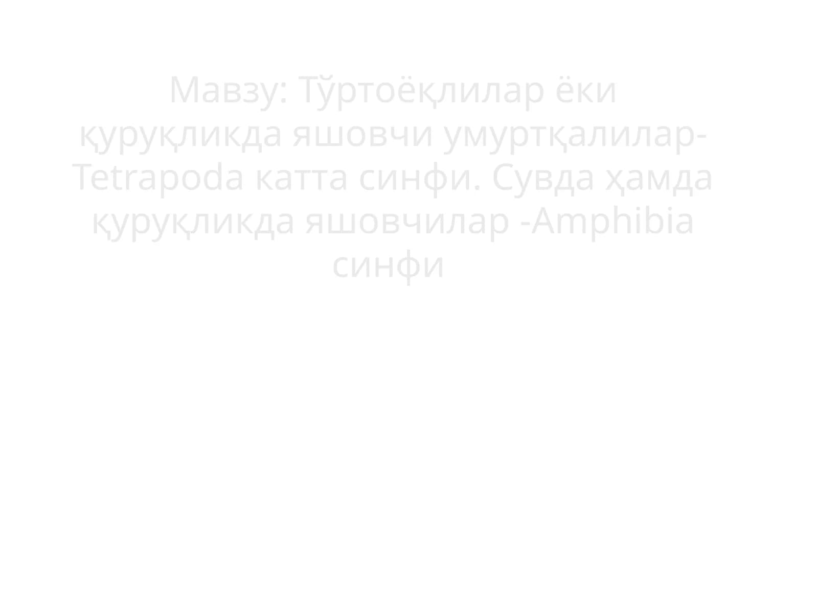 Тўртоёқлилар ёки қуруқликда яшовчи умуртқалилар-Tetrapoda катта синфи