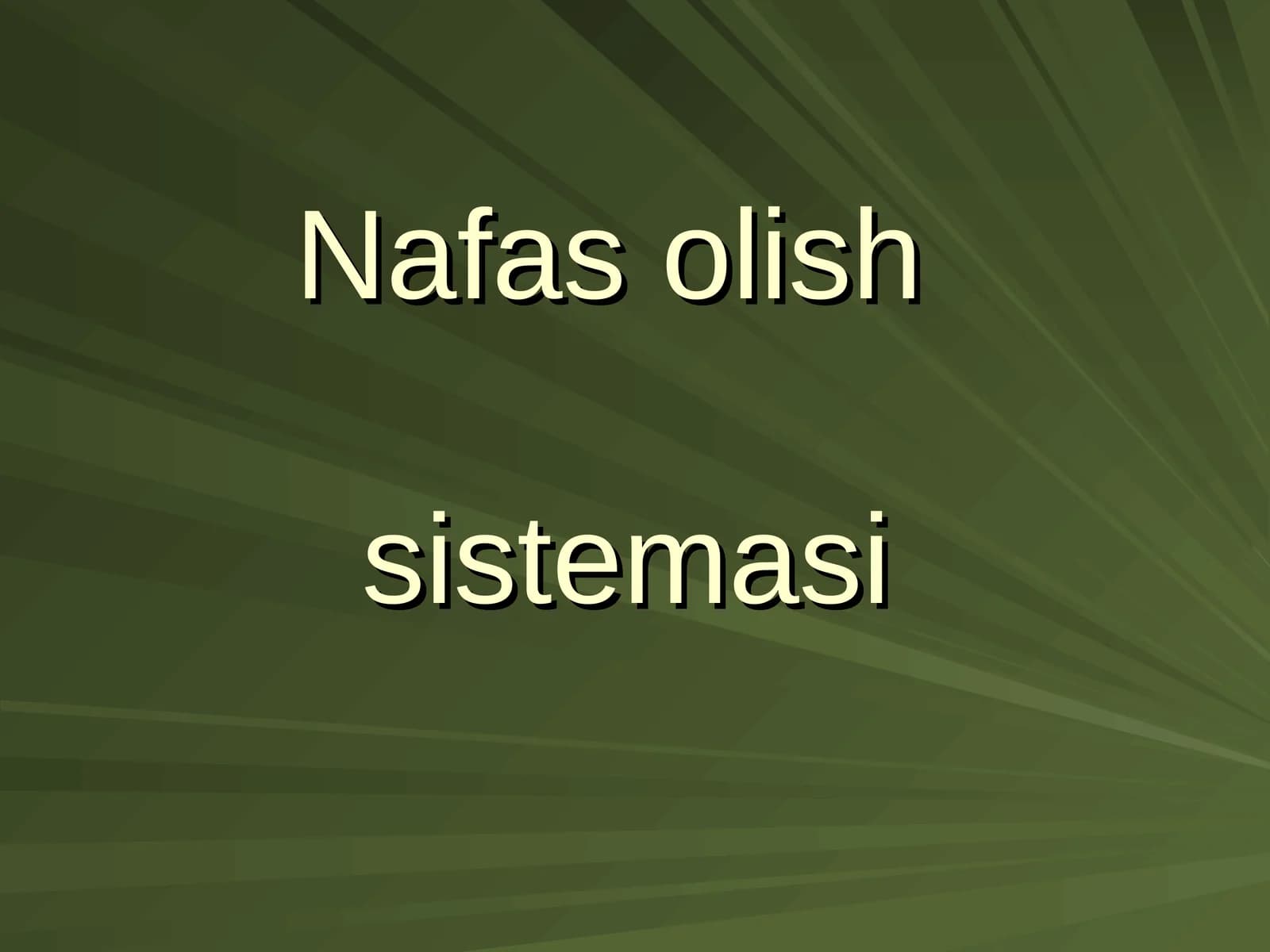Nafas olishsistemasi