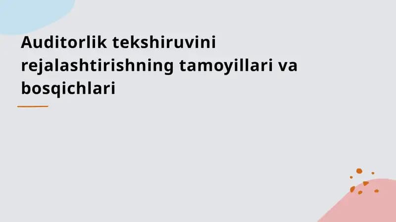 Auditorlik tekshiruvi-nirejalashtirishning tamoyillari va bosqichlari