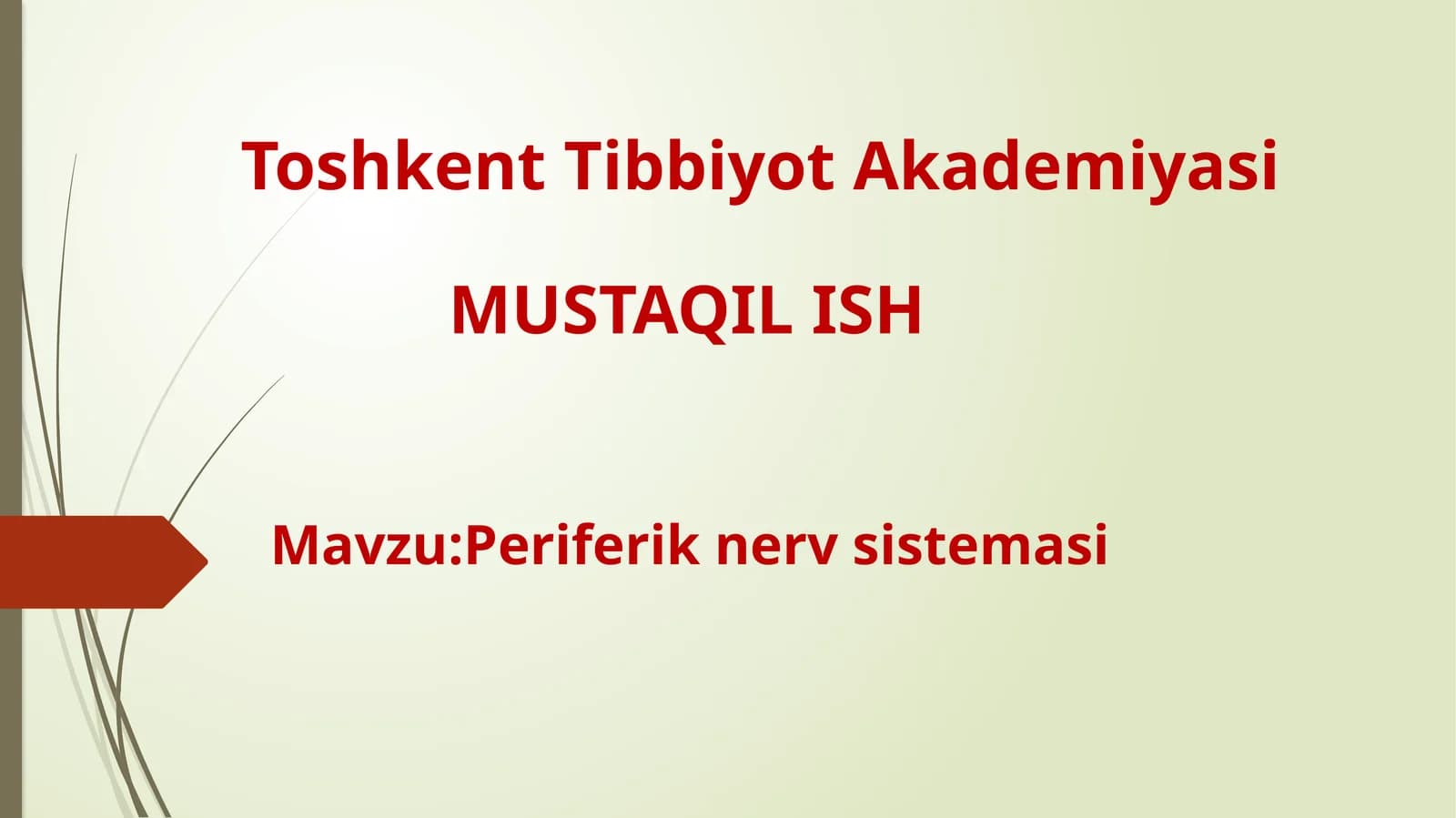 Periferik nerv sistemasi