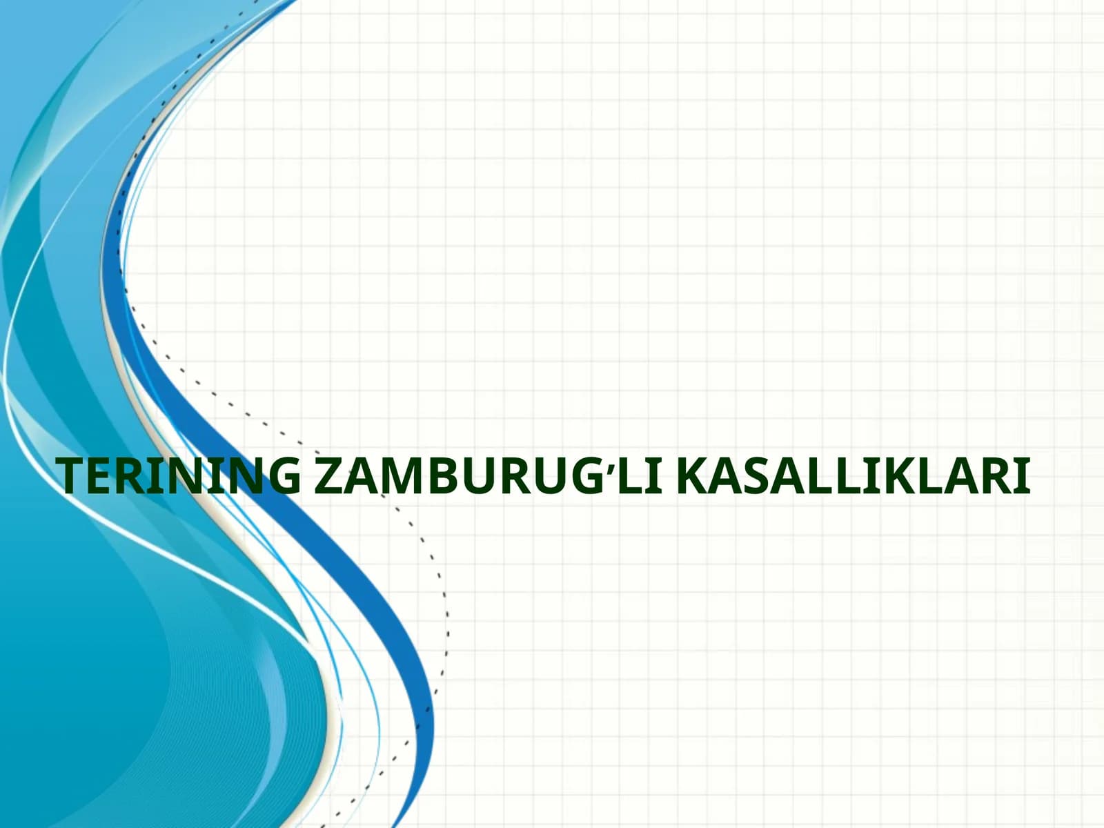 TERINING ZAMBURUG’LI KASALLIKLARI
