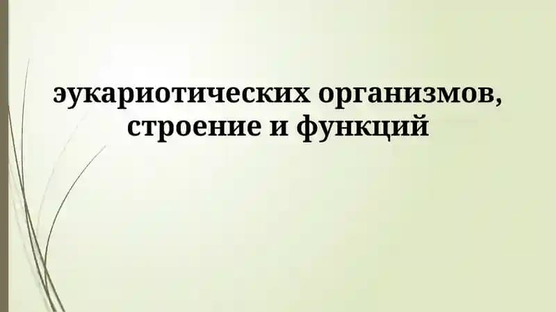 Эукариотлар