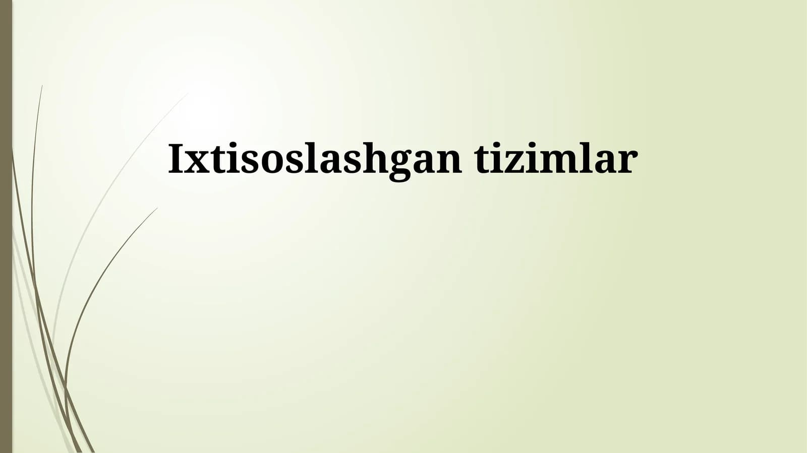 Maxsus Tizimlarni Amalga Oshirish