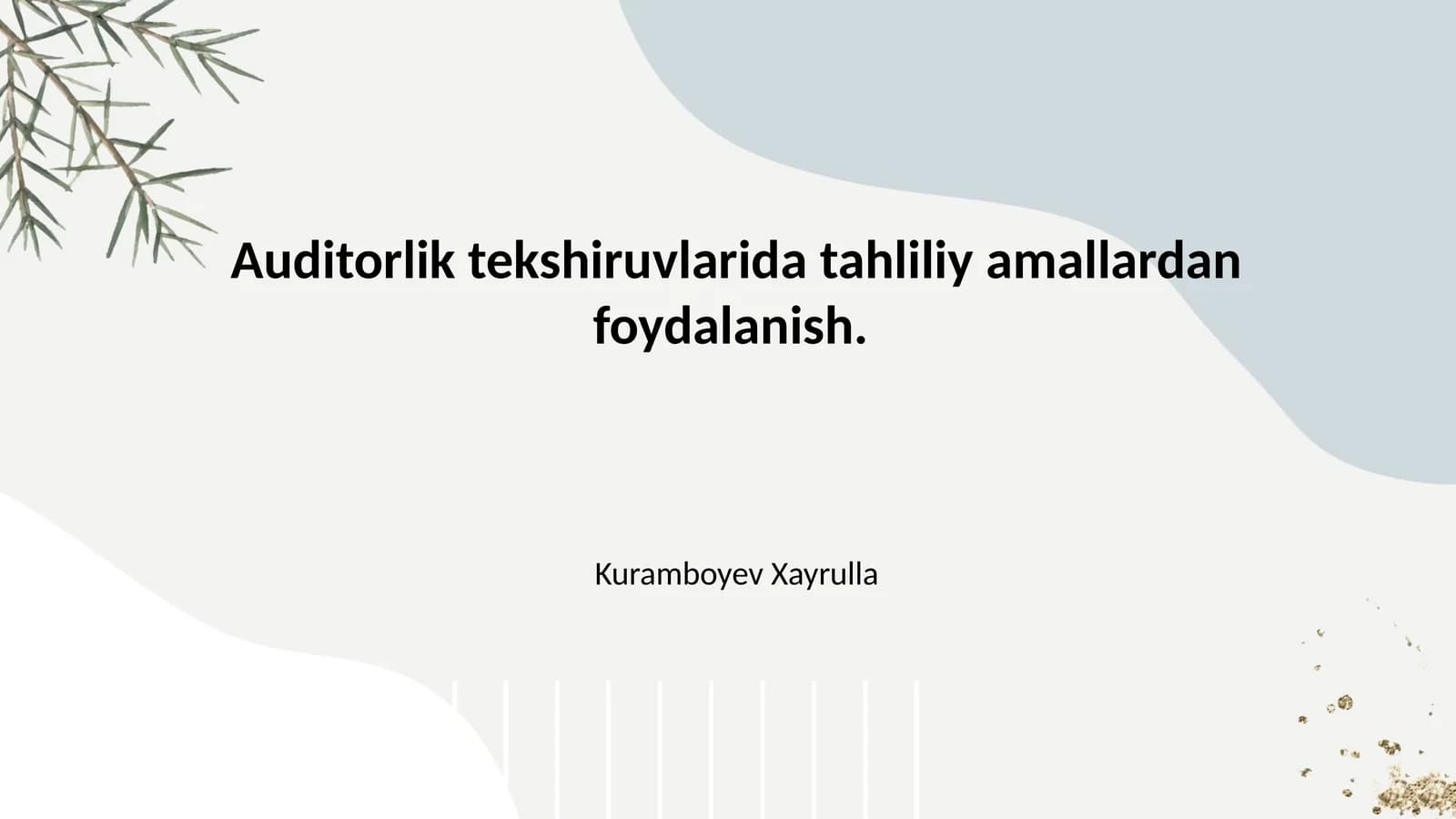 Auditorlik tekshiruvlarida tahliliy amallardan foydalanish.