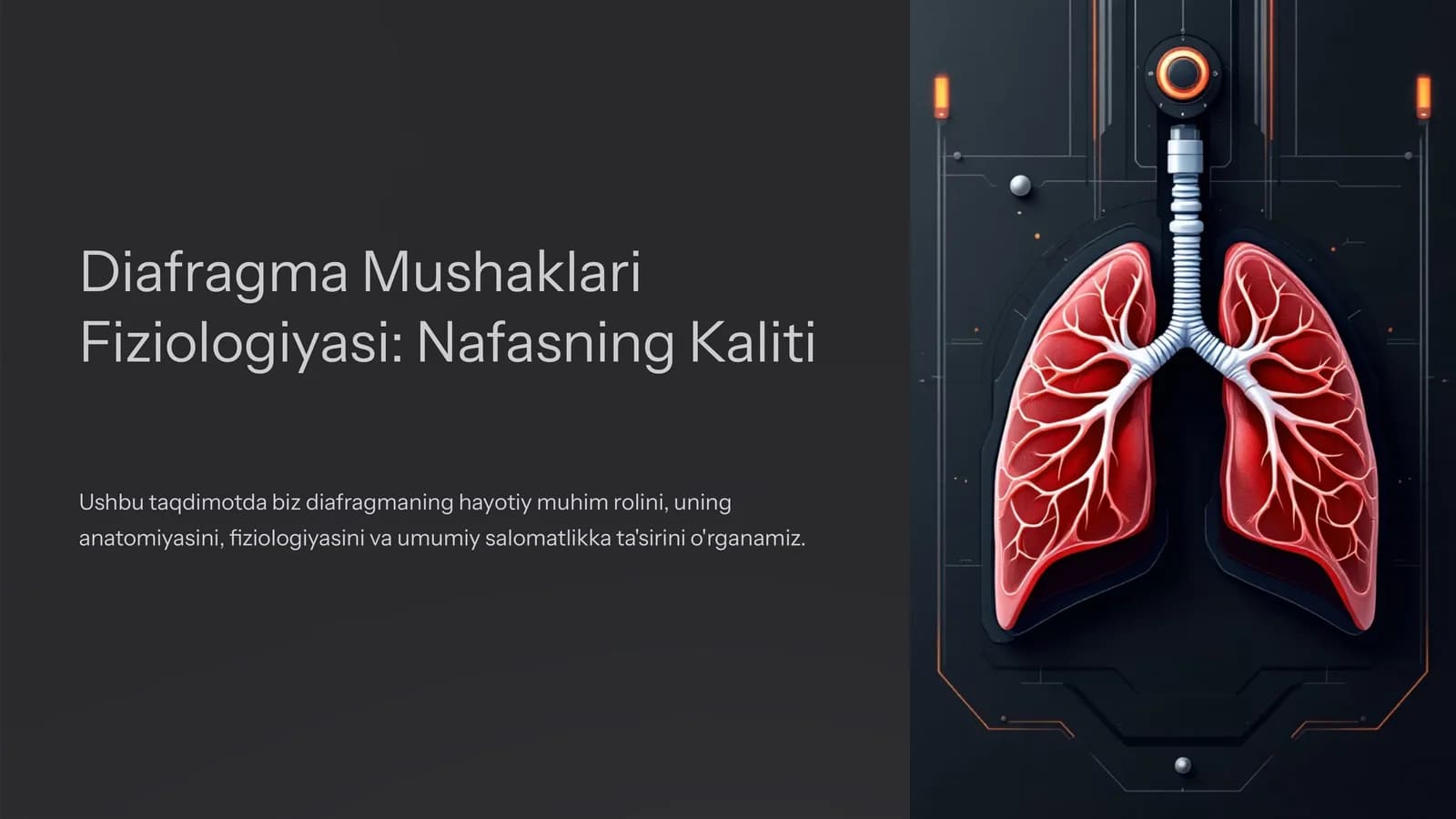 Diafragma Mushaklari Fiziologiyasi: Nafasning Kaliti