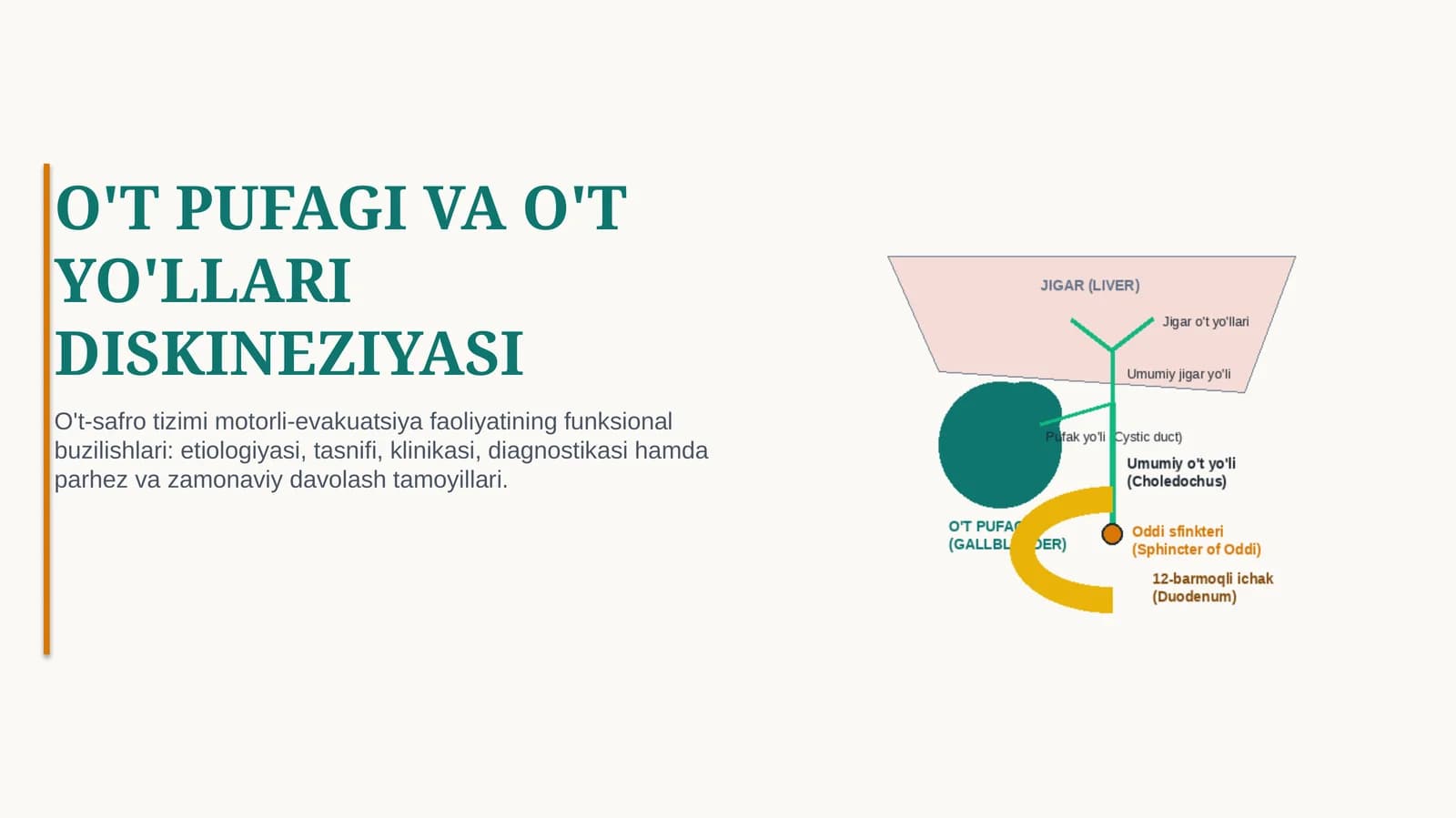 O‘T PUFAGI DISKINEZIYASI — SABABLARI, BELGILARI, TASHXISI VA DAVOLASH | 15 SLAYDLI TIBBIY TAQDIMOT