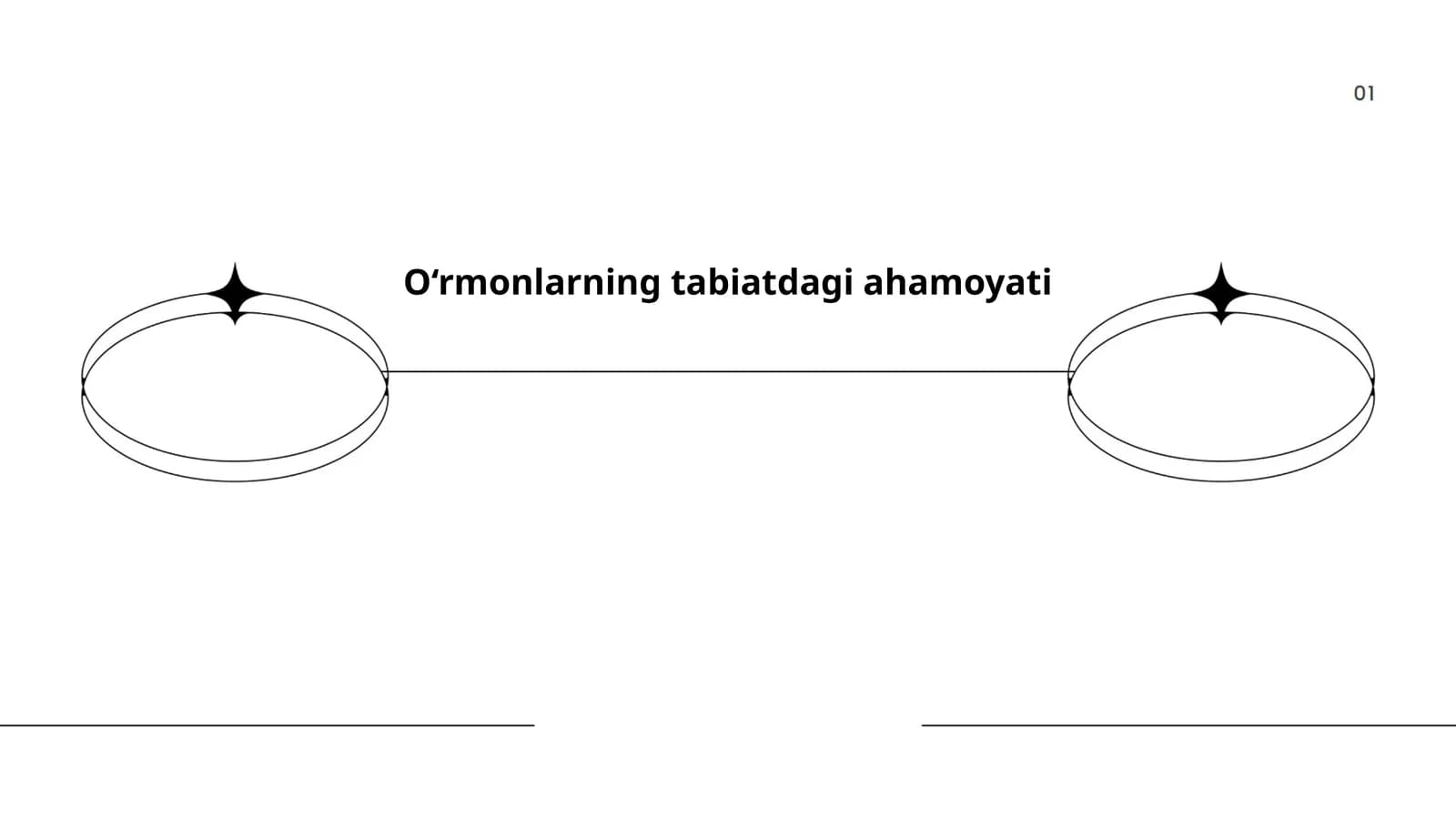 O‘rmonlarning tabiatdagi ahamoyati