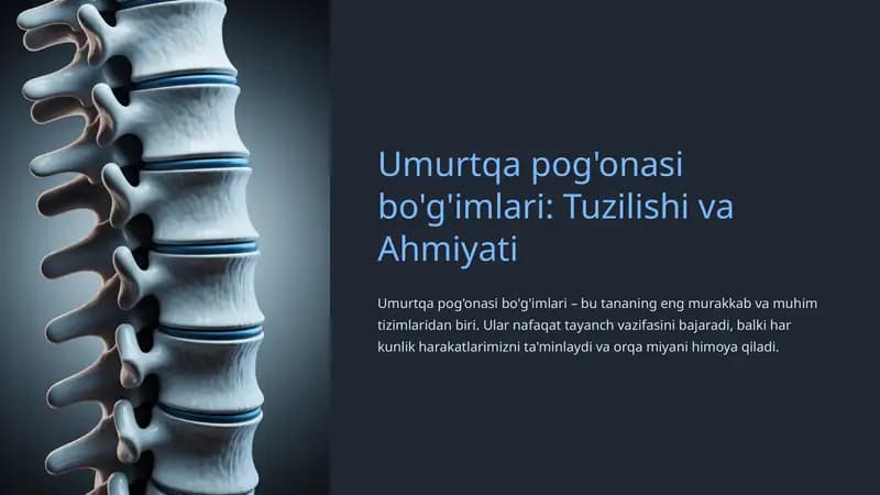 Umurtqa pog'onasi bo'g'imlari: Tuzilishi va Ahmiyati