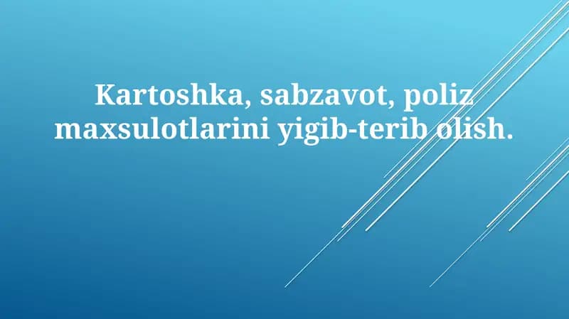 Kartoshka hosilini yig'ishtirish