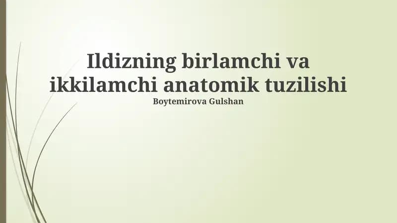 Ildizning birlamchi va ikkilamchi anatomik tuzilishi