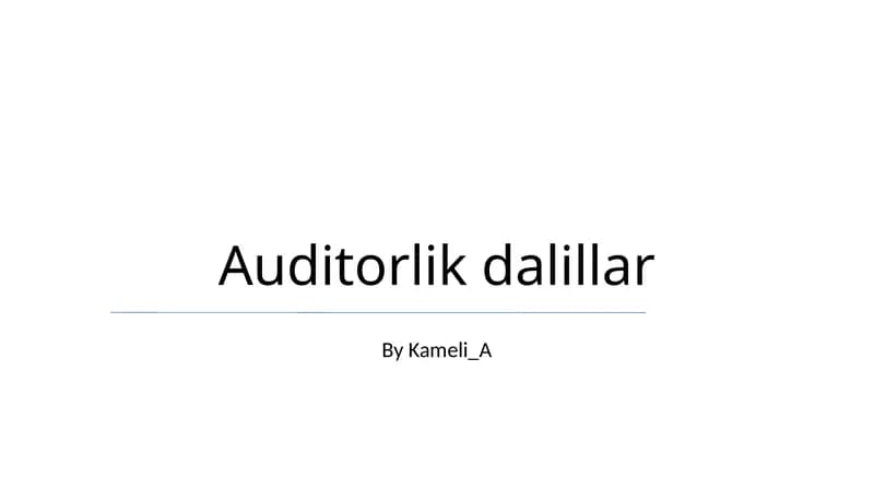 Audit Dalillar