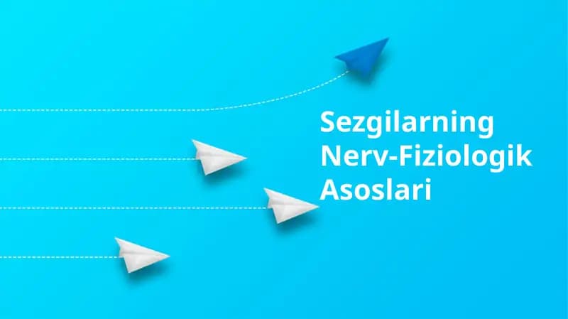 Sezgilarning Nerv-Fiziologik Asoslari