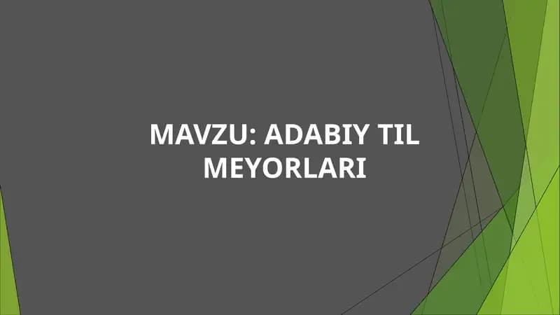 ADABIY TIL MEYORLARI