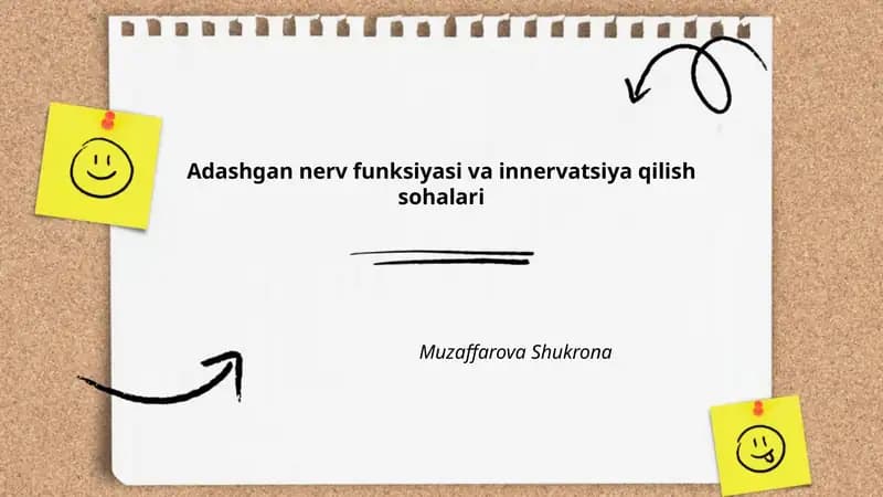 Adashgan nerv funksiyasi va innervatsiya qilish sohalari