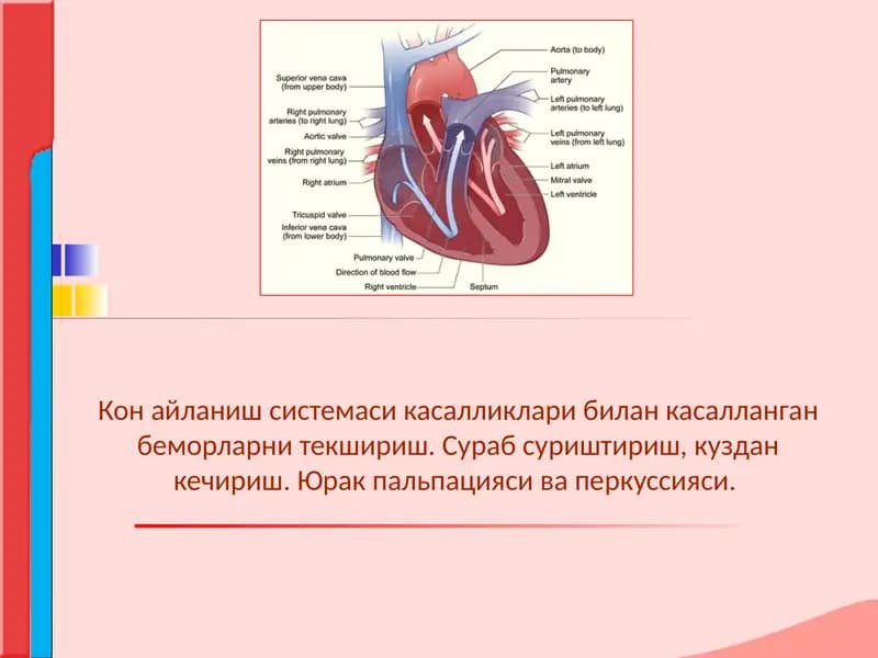 Кон айланиш системаси касалликлари билан касалланган беморларни текшириш. Сураб суриштириш, куздан к