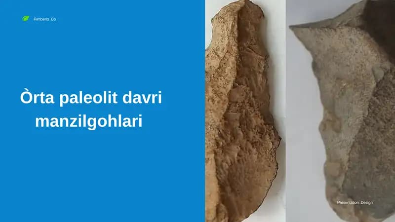 Òrta paleolit davri manzilgohlari