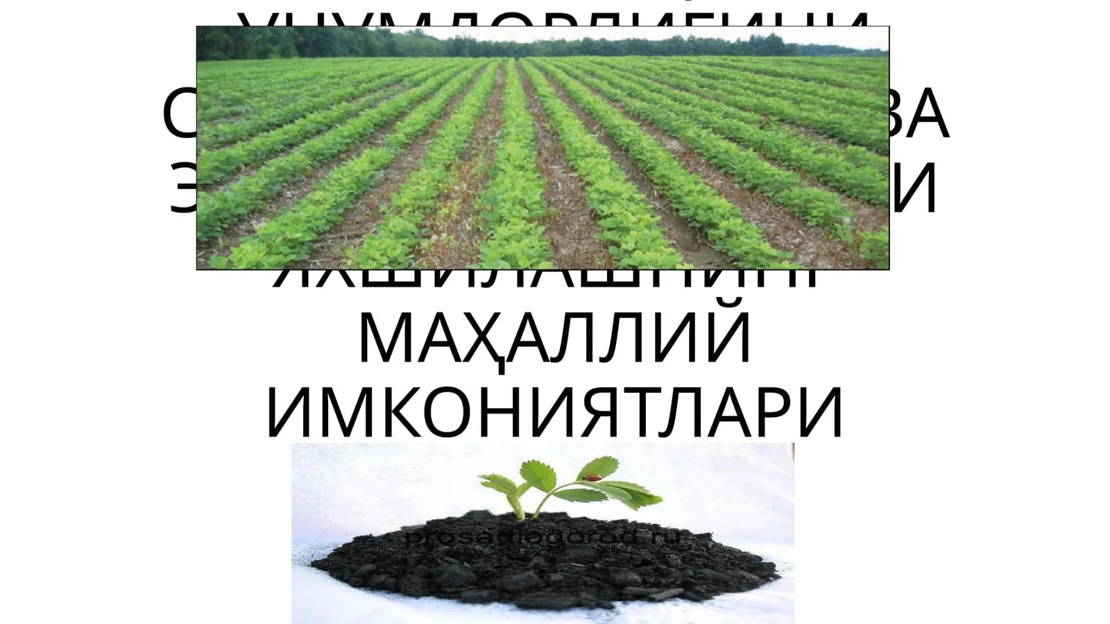 ТУПРОҚ УНУМДОРЛИГИНИ САҚЛАШ, ОШИРИШ ВА ЭКОЛОГИК ҲОЛАТИНИ ЯХШИЛАШНИНГ МАҲАЛЛИЙ ИМКОНИЯТЛАРИ