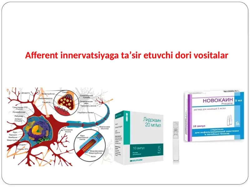 Afferent innervatsiyaga taʼsir etuvchi dori vositalar