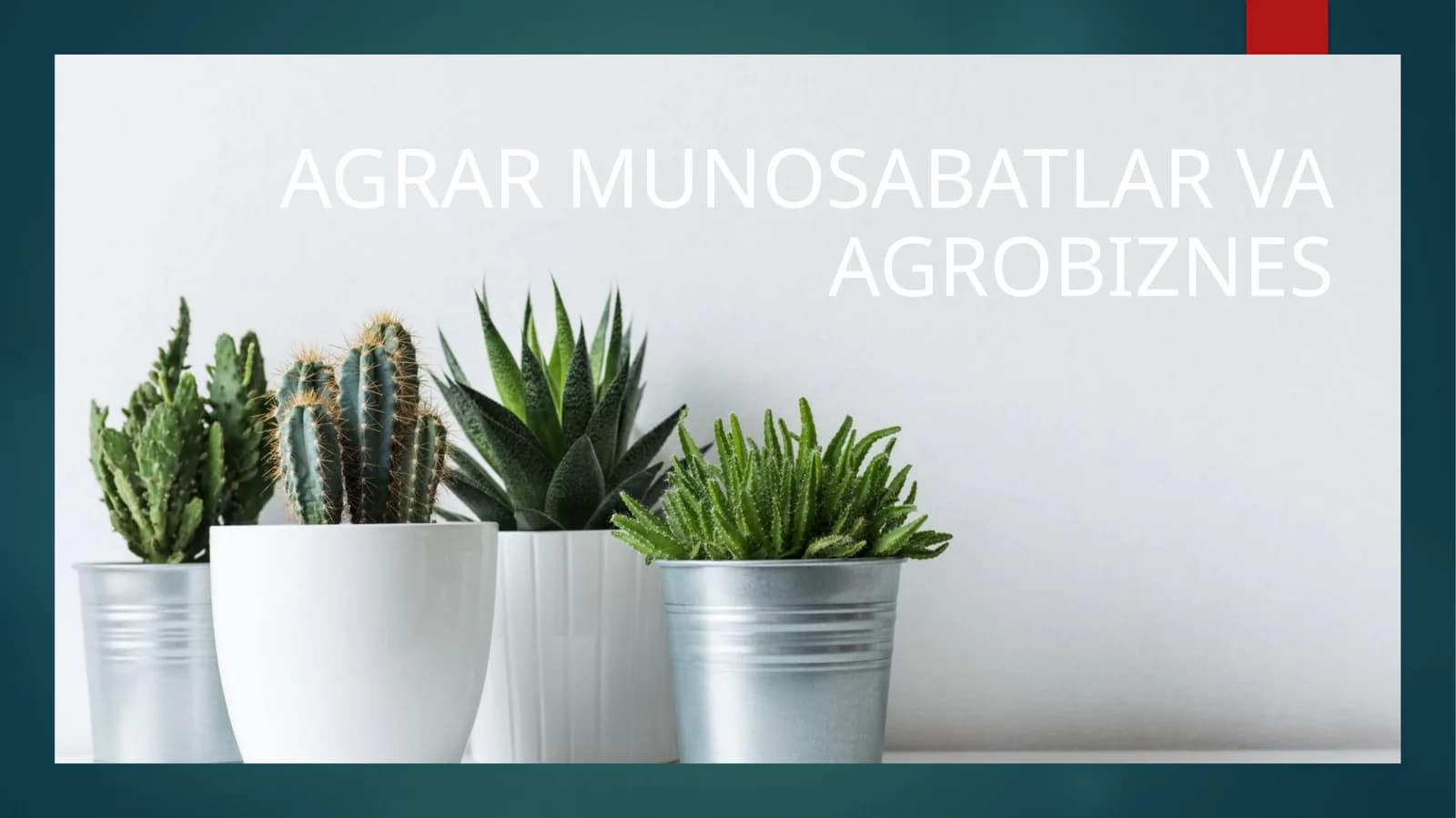 AGRAR MUNOSABATLAR VA AGROBIZNES