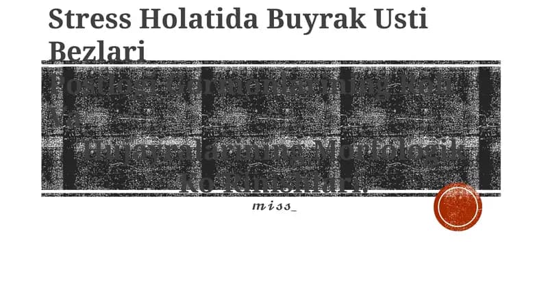 Buyrak Usti Bezlari