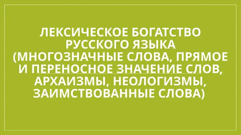 Лексическое богатство русского языка (многозначные слова, прямое и переносное значение слов, архаизмы, неологизмы, заимствованные слова)