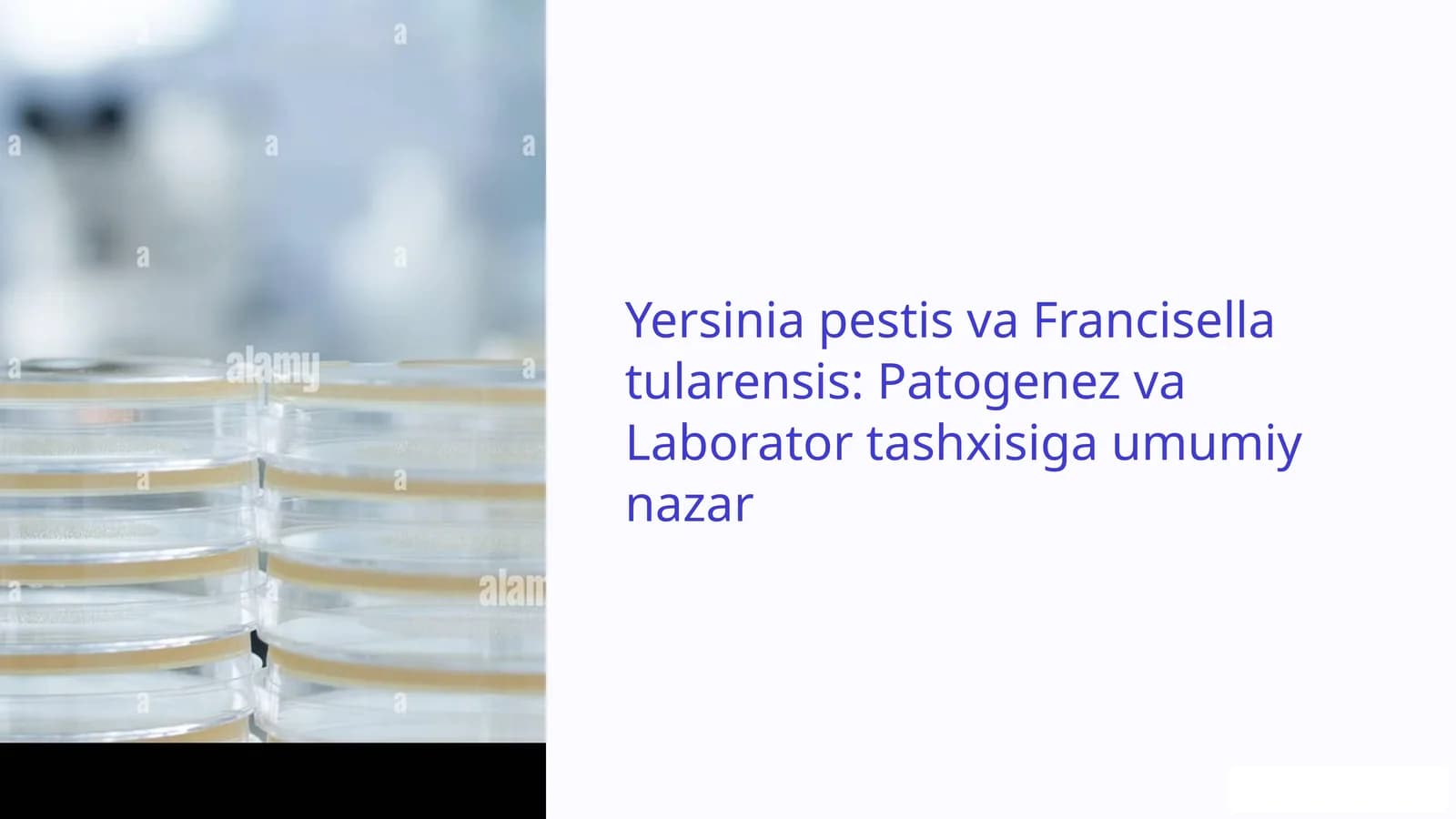 Yersinia pestis va Francisella tularensis: Patogenez va Laborator tashxisiga umumiy nazar