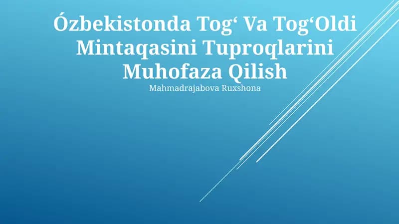 Tog' Va Tog'Oldi Mintaqasini Tuproqlarini Muhofaza Qilish