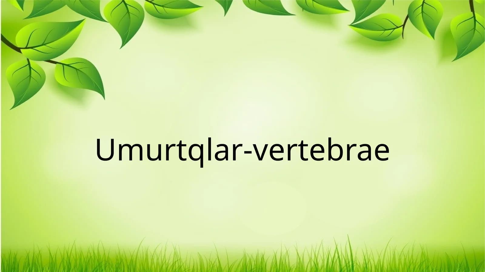 Umurtqalar -vertebrae