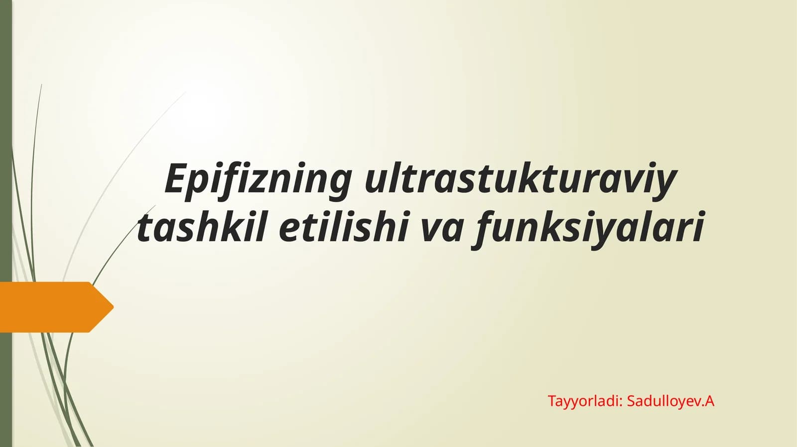 Epifizning ultrastukturaviy tashkil etilishi va funksiyalari.pptx