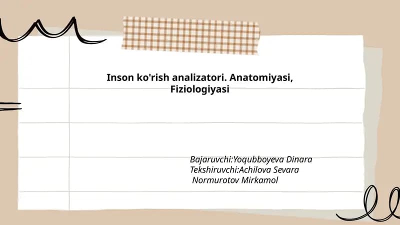 Inson ko'rish analizatori. Anatomiyasi, Fiziologiyasi