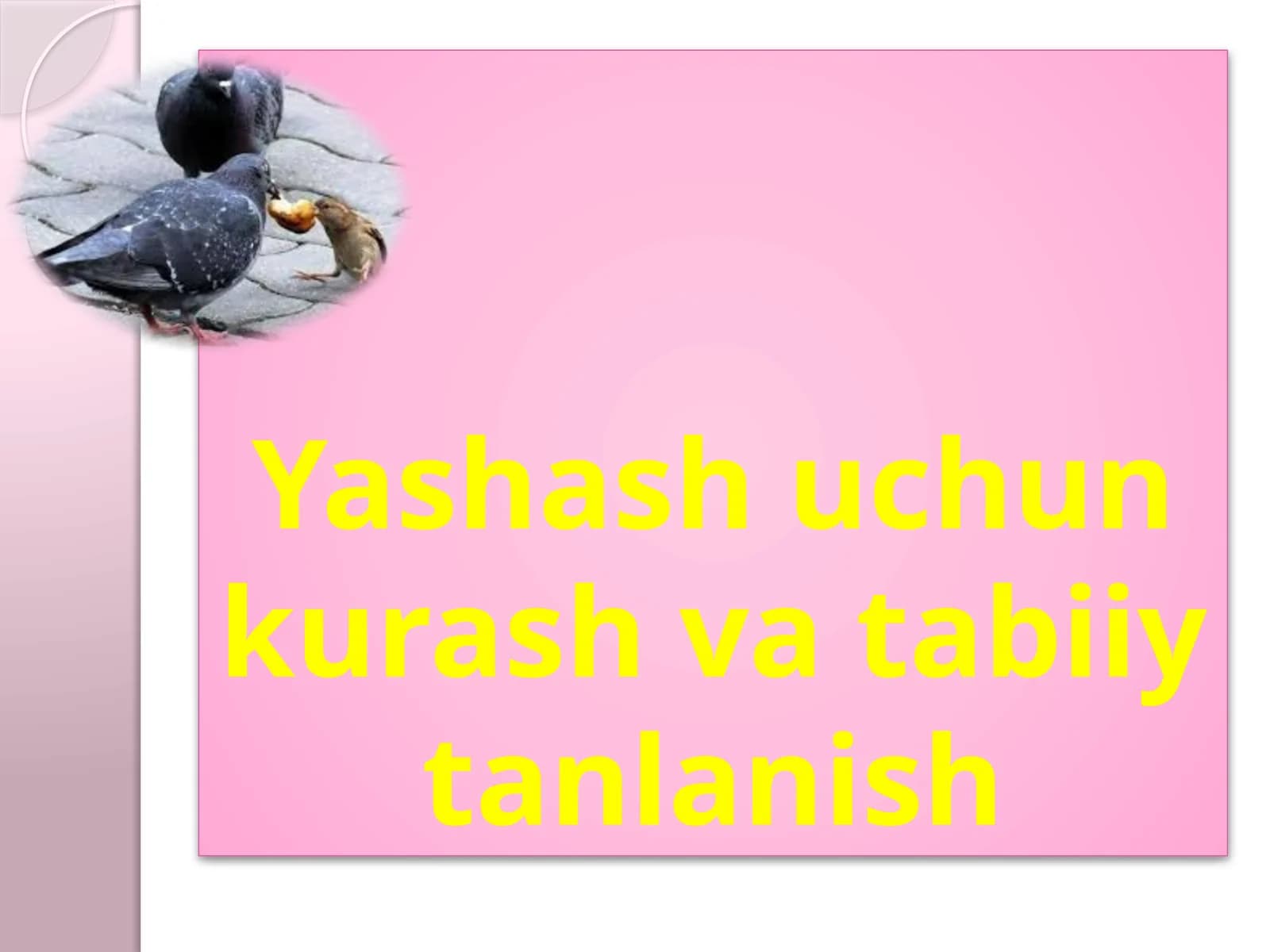 Yashash uchun kurash va tabiiy tanlanish