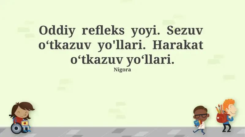 Oddiy refleks yoyi