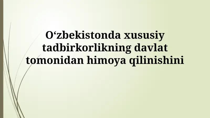 Xususiy tadbirkorlikning davlat tomonidan himoyasi