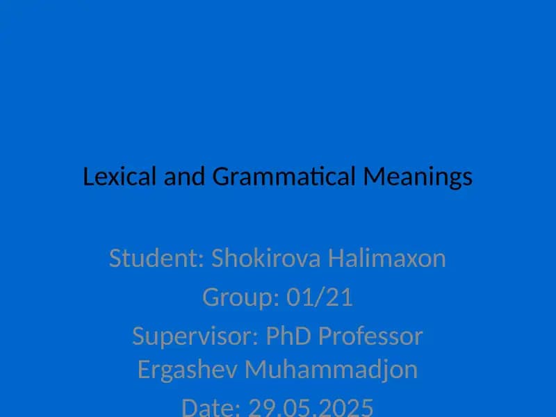 Lexical and Grammatical Meanings