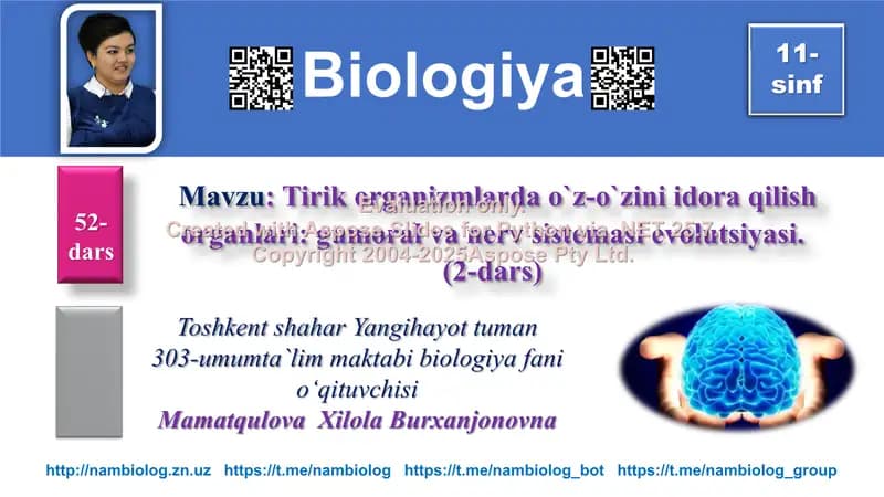 Tirik organizmlarda o`z-o`zini idora qilish organlari: gumoral va nerv sistemasi evolutsiyasi (2-dars)