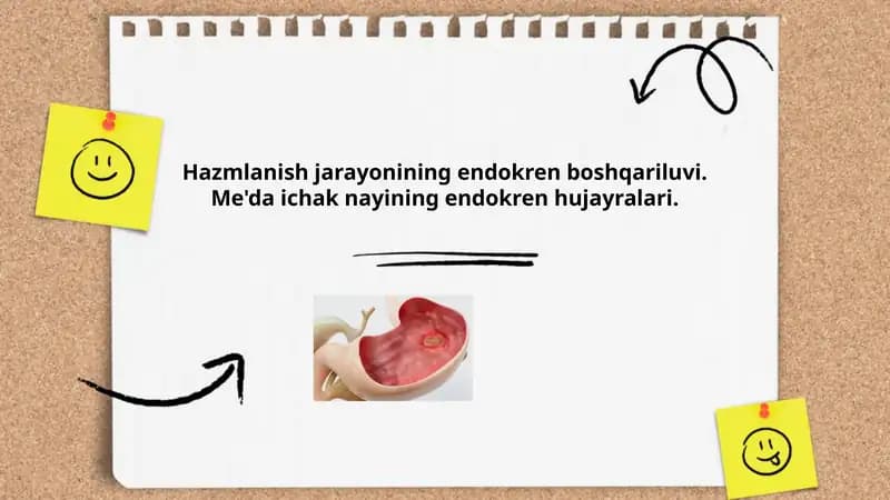 Hazmlanish jarayonining endokren boshqariluvi