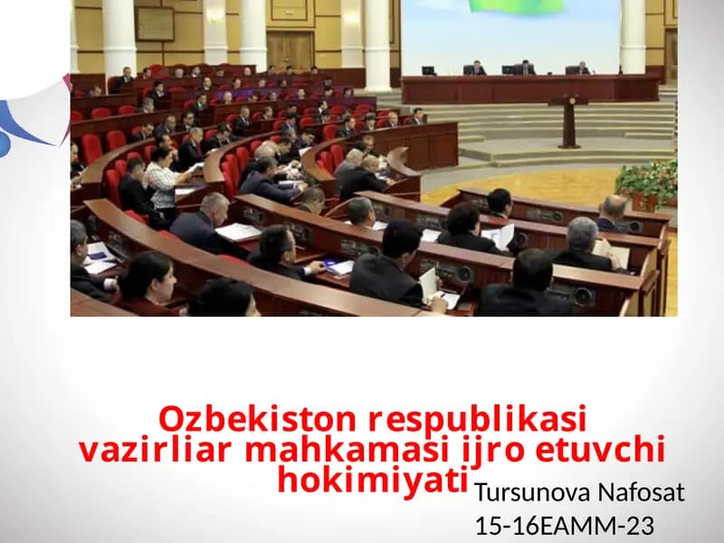 O‘zbekiston Respublikasi Vazirlar Mahkamasi ijro etuvchi hokimiyati